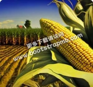 为每一场精彩赛事保驾护航 - JRS五大联赛直播